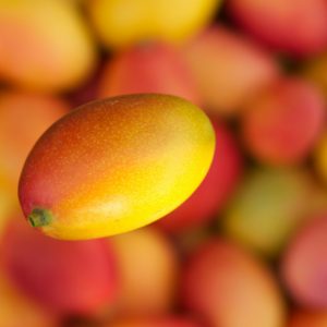 রাজভোগ আম