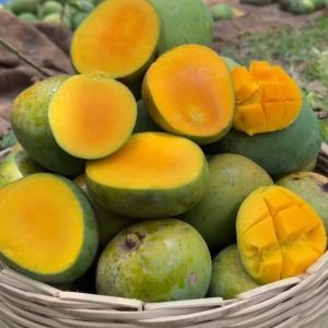হিমসাগর আম - 10 kg