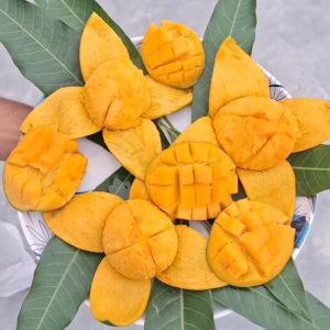 হিমসাগর আম